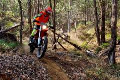 IMG-20240923-WA0010-crop