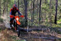 IMG-20240923-WA0078-crop