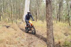 IMG-20231105-WA0026