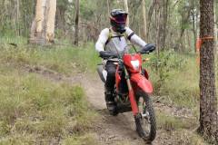IMG-20260307-WA0101