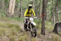 IMG-20260307-WA0110