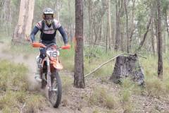 IMG-20260307-WA0113