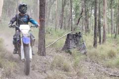 IMG-20260307-WA0115