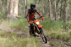 IMG-20260307-WA0137