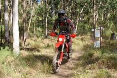 IMG-20240609-WA0019-1