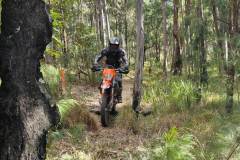 IMG-20240609-WA0034-1