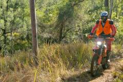 IMG-20250706-WA0086-16x9